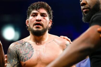 Dana White On Dillon Danis' Possible Move To Ufc: 'i