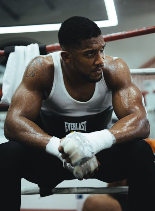 Anthony Joshua Otto Wallin.deontay Wilder Joseph Parker Reportedly Preparing For December 26th