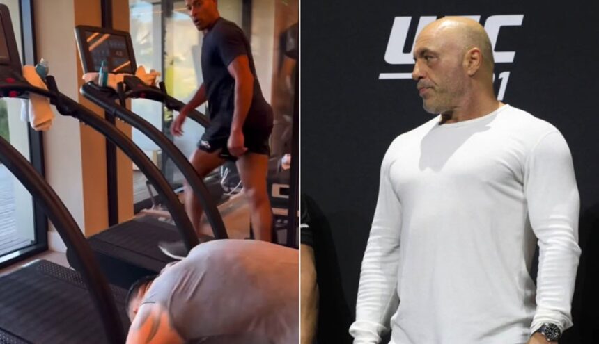 Joe Rogan Thinks About How David Goggins' Training Will Help