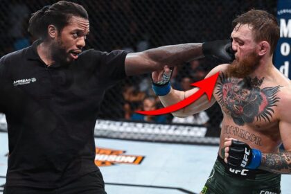 The Craziest Referee Moments In Ufc And Mma History!