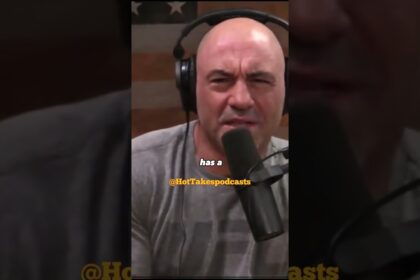 Joe Rogan On Shaq Joining Mma #podcast #joerogan