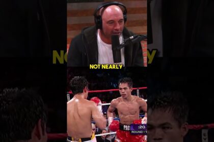 Joe Rogan's Mma Journey