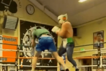 Has Mcgregor Returned? Sparring Partner Barely Escapes Destruction