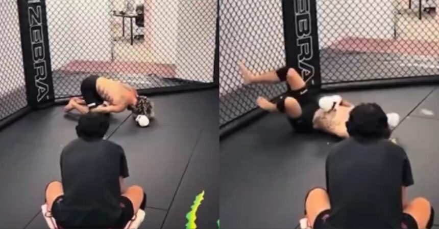 New Video Shows Sean O'malley Injuring Rib Before Aljamain Sterling