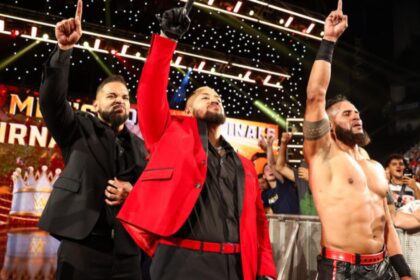 Wwe Seeks Trademark For Potential Bloodline Member