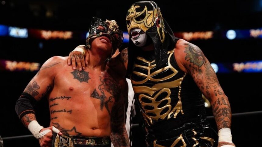 The Lucha Brothers, Former Aew Tag Champions, Allegedly Ink Multi Year